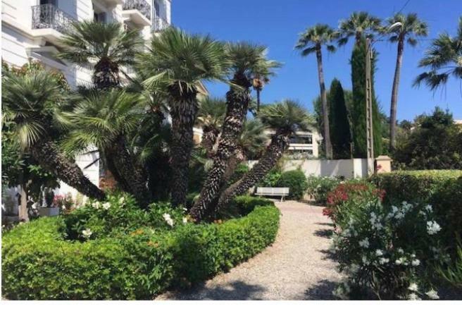 Winter Palace Cannes Eksteriør bilde